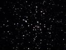 M41_02022008.jpg