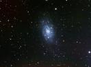NGC2403_04012010_03.jpg