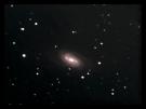 ngc2903_15022007_01.jpg