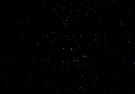 M44_02022208.jpg
